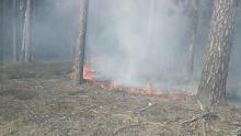 Pożar w Leśnictwie Komasy