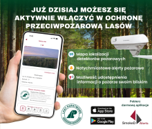 Razem możemy więcej! Chrońmy wspólnie polskie lasy